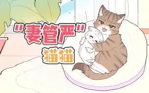 Download Video: 霸总猫猫：我的女人我自己哄~