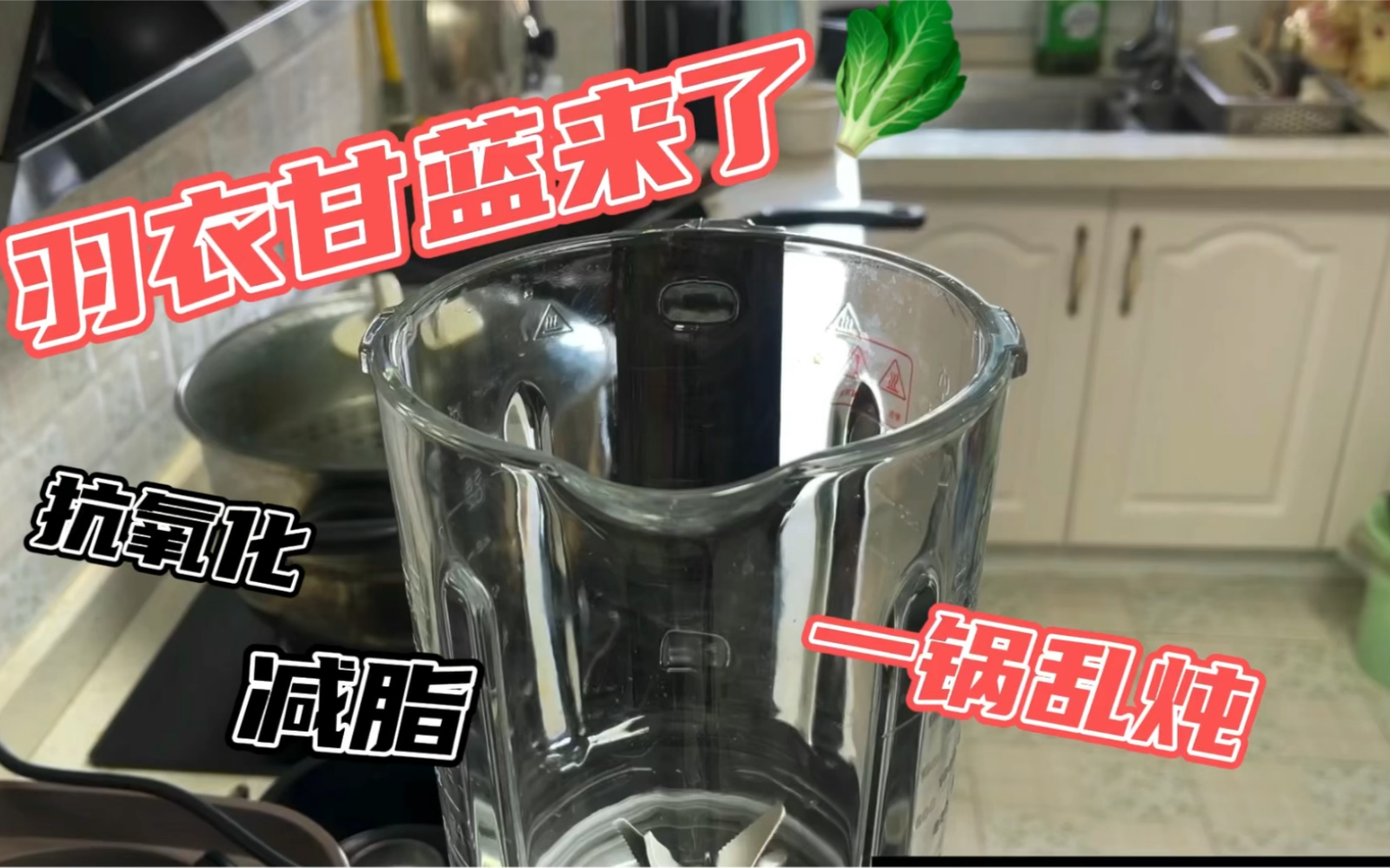 【减脂饮食】 羽衣甘蓝榨了个汁 抗氧化又美白?哔哩哔哩bilibili