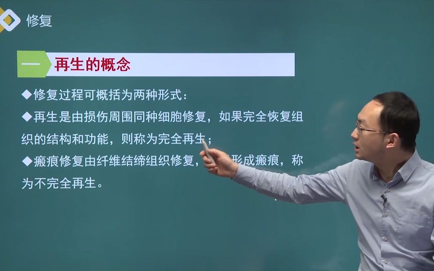 病理学 02讲 细胞、组织的适应、损伤和修复02哔哩哔哩bilibili