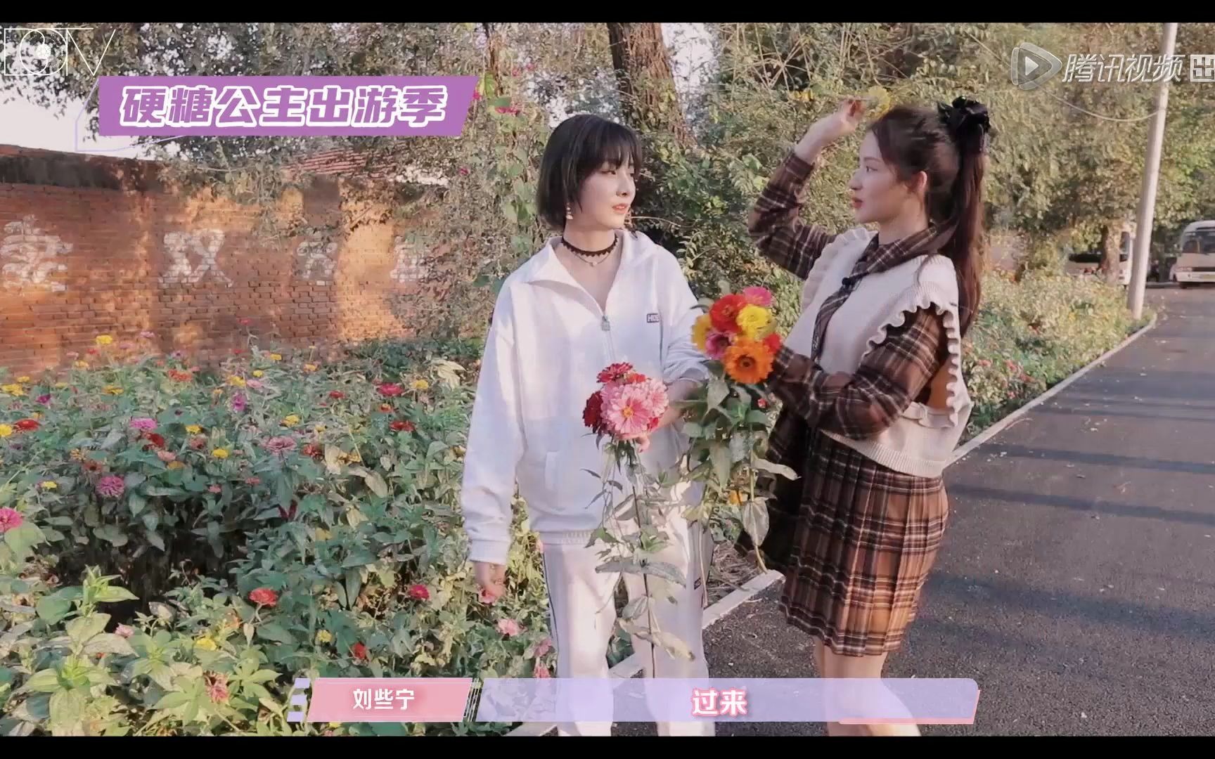 硬糖少女bonus赵粤刘些宁问海棠是什么味道