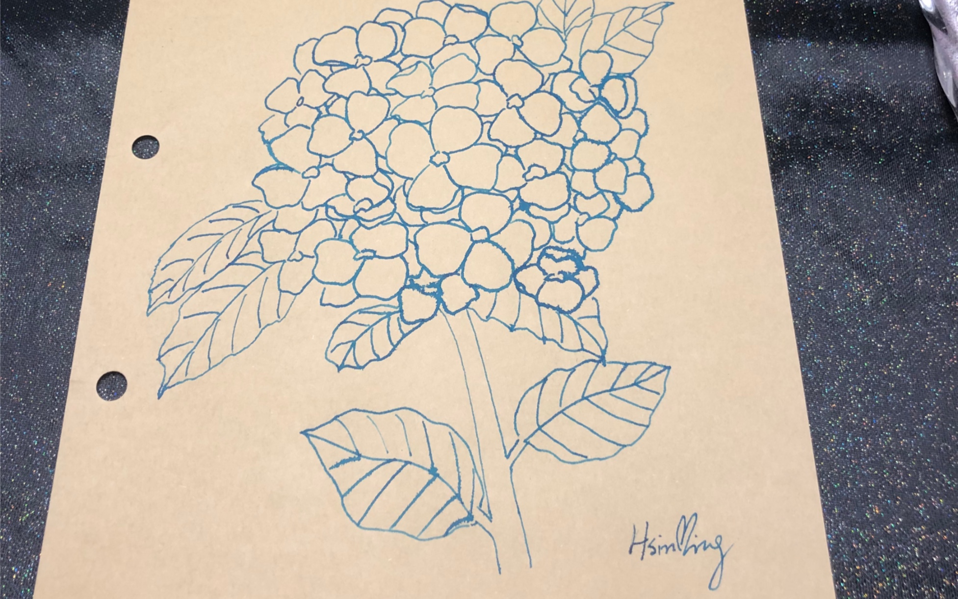 漫游|手绘|线稿|一簇蓝色绣球花_哔哩哔哩_bilibili