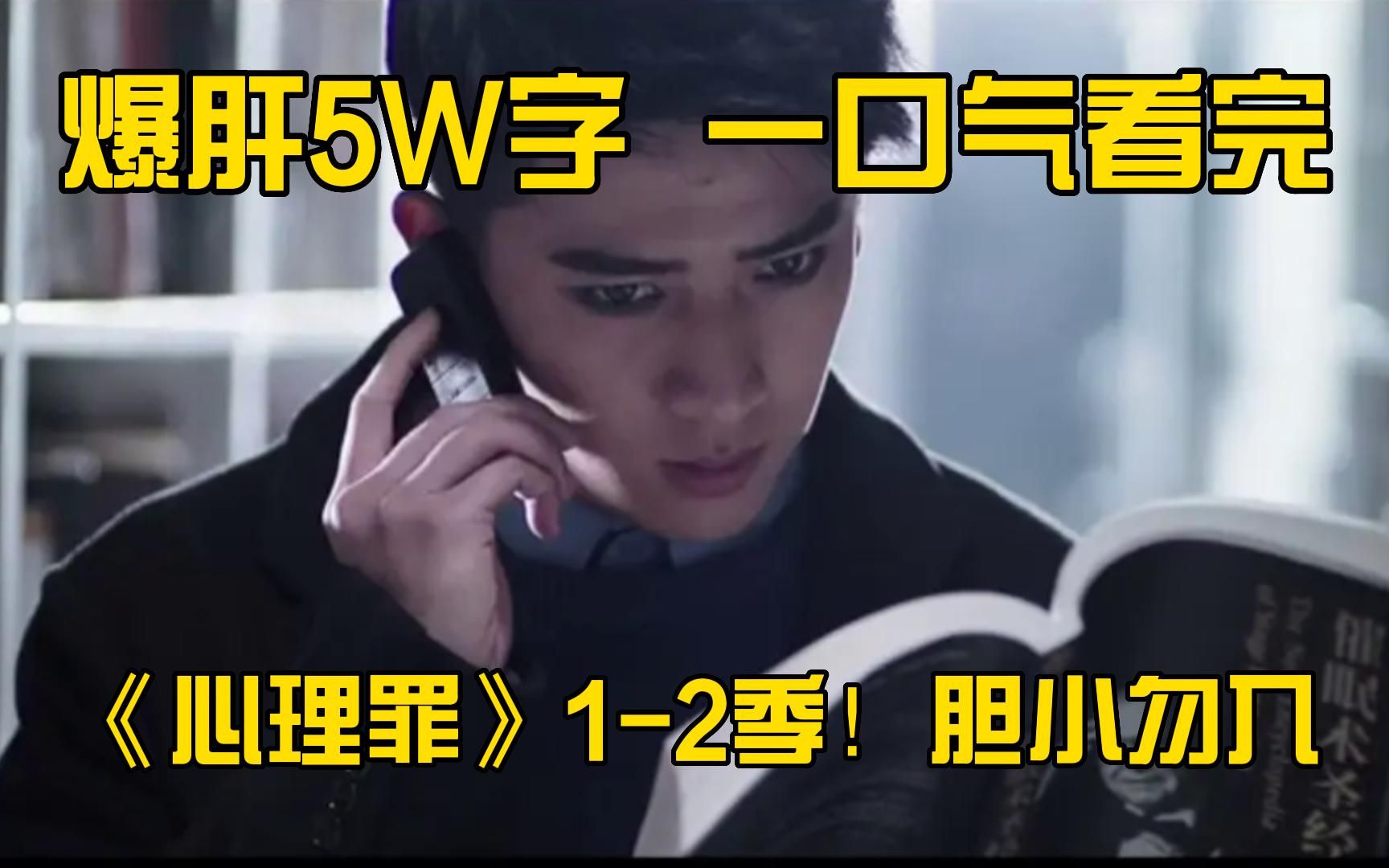 爆肝5W字,一口气看完《心理罪》12季全集!胆小勿入哔哩哔哩bilibili