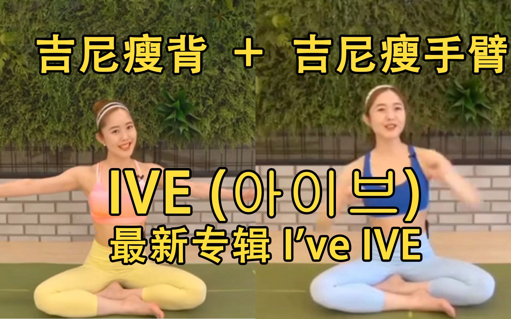 [图]【自用】IVE最新专辑I've IVE|Kpop人必备的芙人IVE运动歌单+吉尼最强瘦背&吉尼瘦手臂|第二十七版