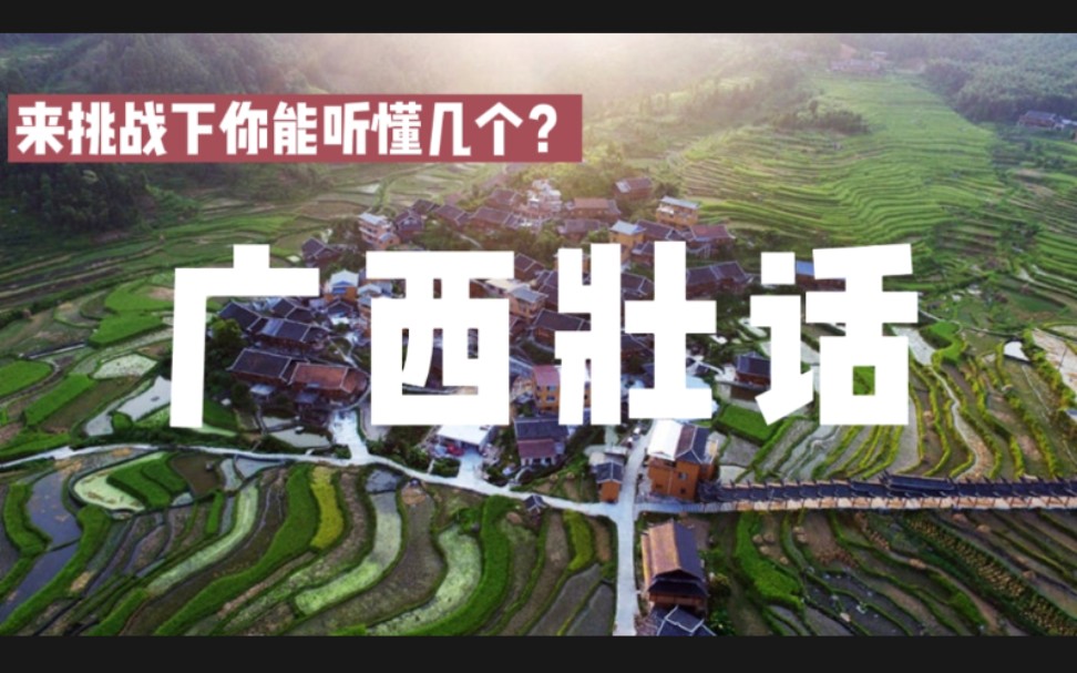 广西壮乡小伙跟你讲日常壮话1到10广西壮话看你能听懂几个来听听