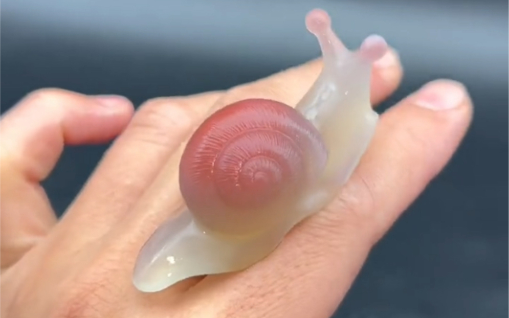 粉色壳子的蜗牛你见过嘛? 接定制