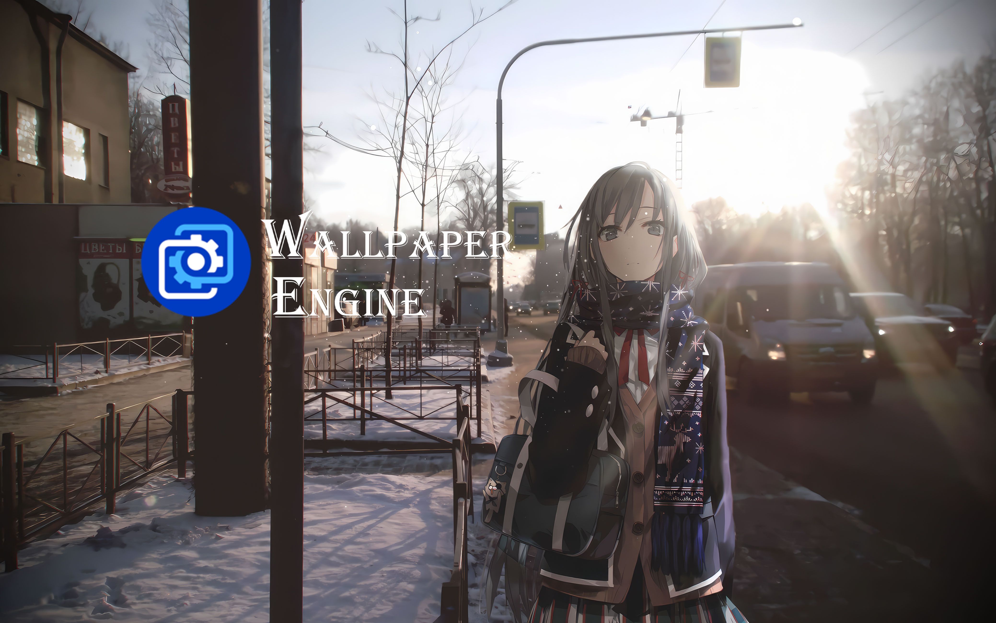 『Wallpaper Engine』一人一景,那些宝藏壁纸10!!哔哩哔哩bilibili