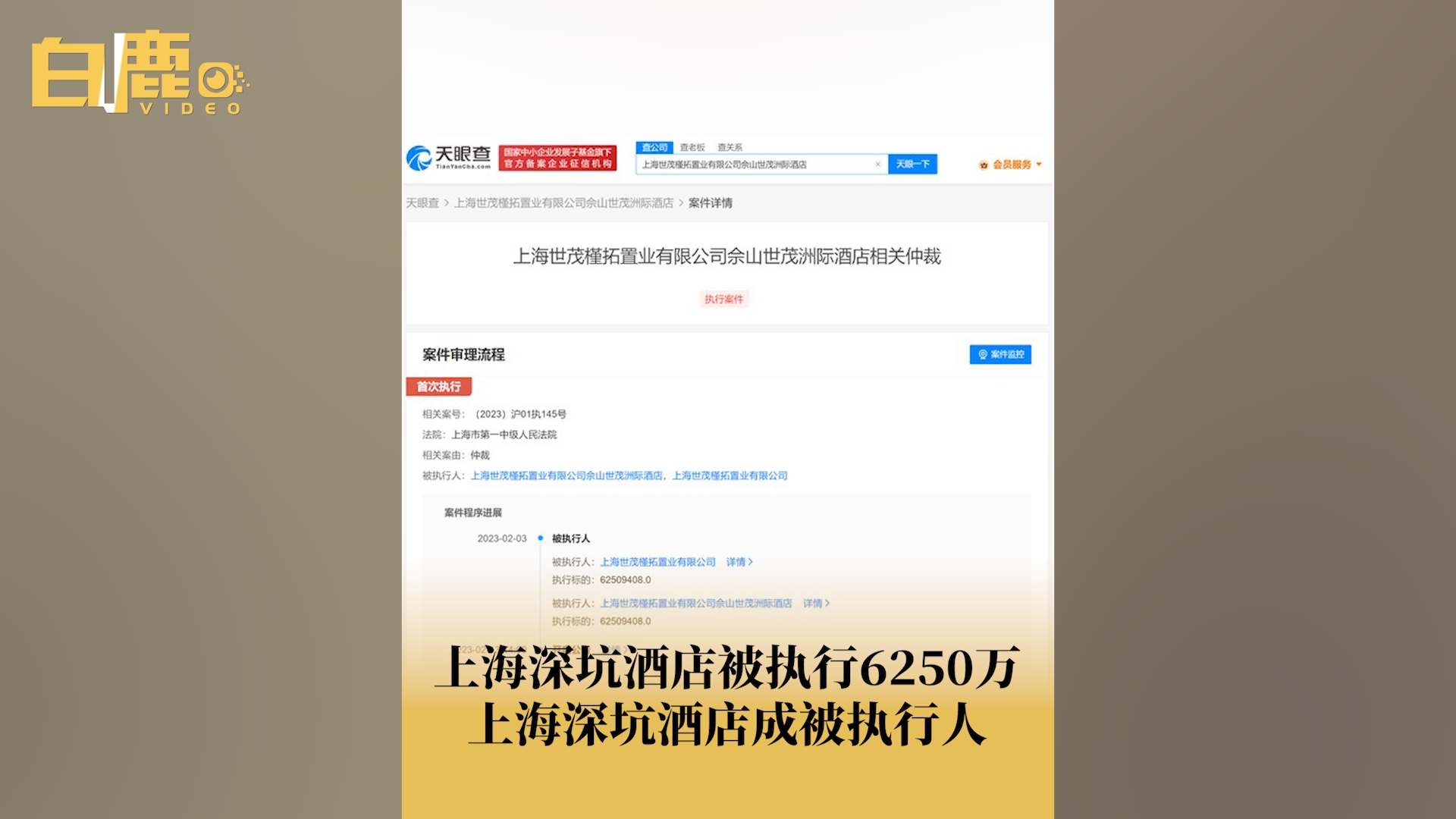 上海深坑酒店被执行6250万哔哩哔哩bilibili