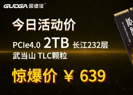 Download Video: GUDGA/固德佳 今日开团特价产品GXF-2TB-2280-PRO  PCIe 4.0 长江232层武当山 TLC 颗粒