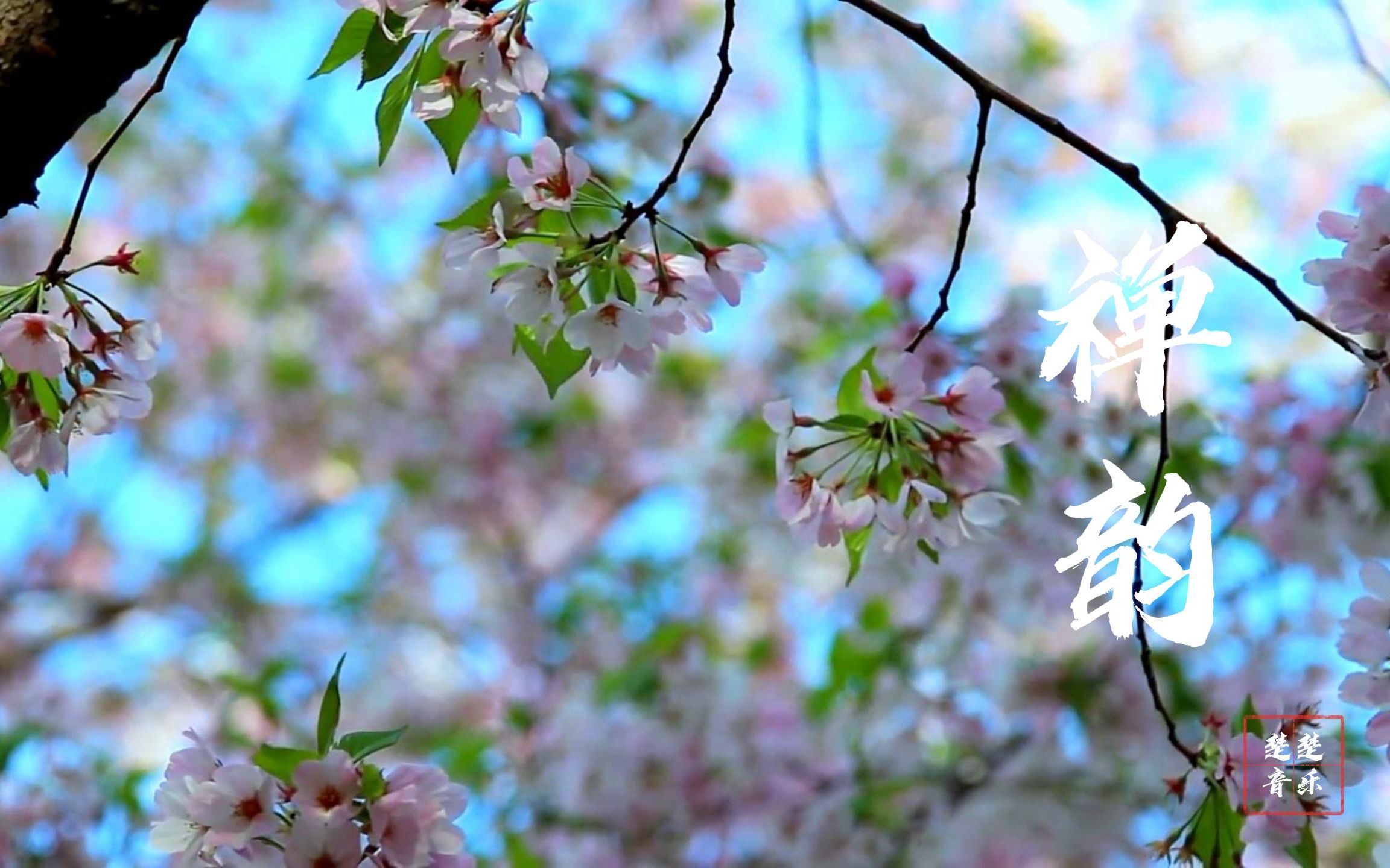 [图]春有百花秋有月，夏有凉风冬有雪，国风经典埙曲《禅韵》催眠养生，滋养心灵