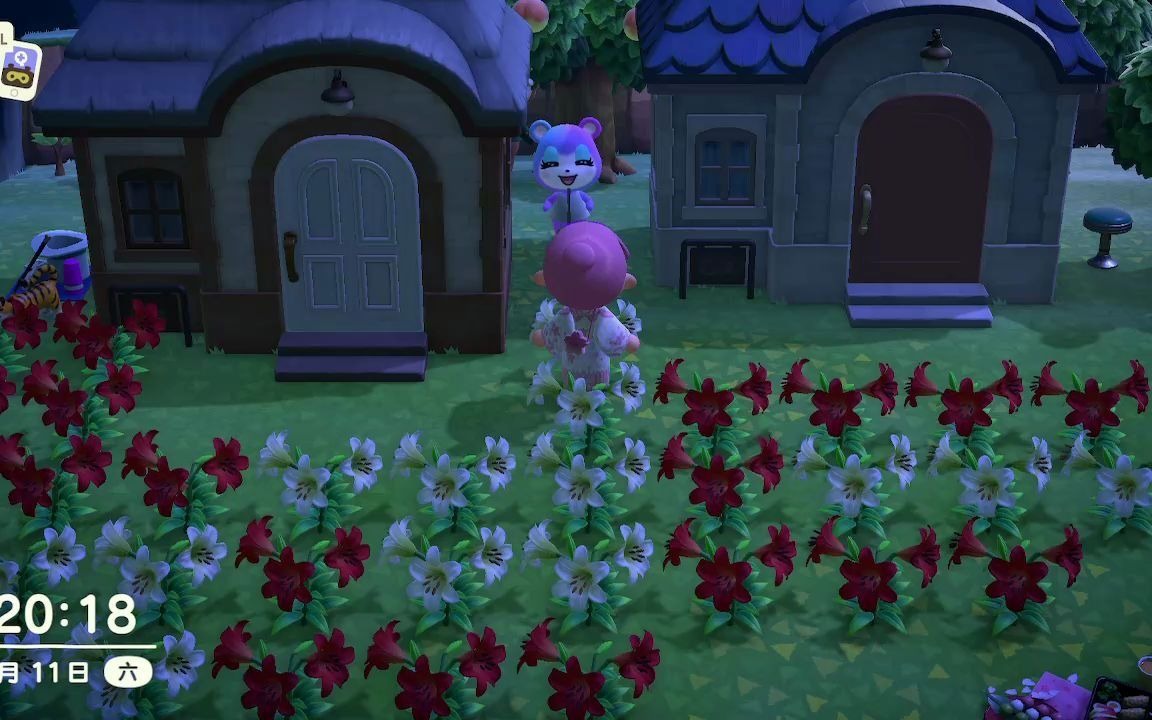 我的美玲会唱歌动物森友会动物之森