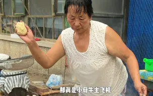 Tải video: 农村人一天的生活，看我姥做的大饼子，这下翻车了