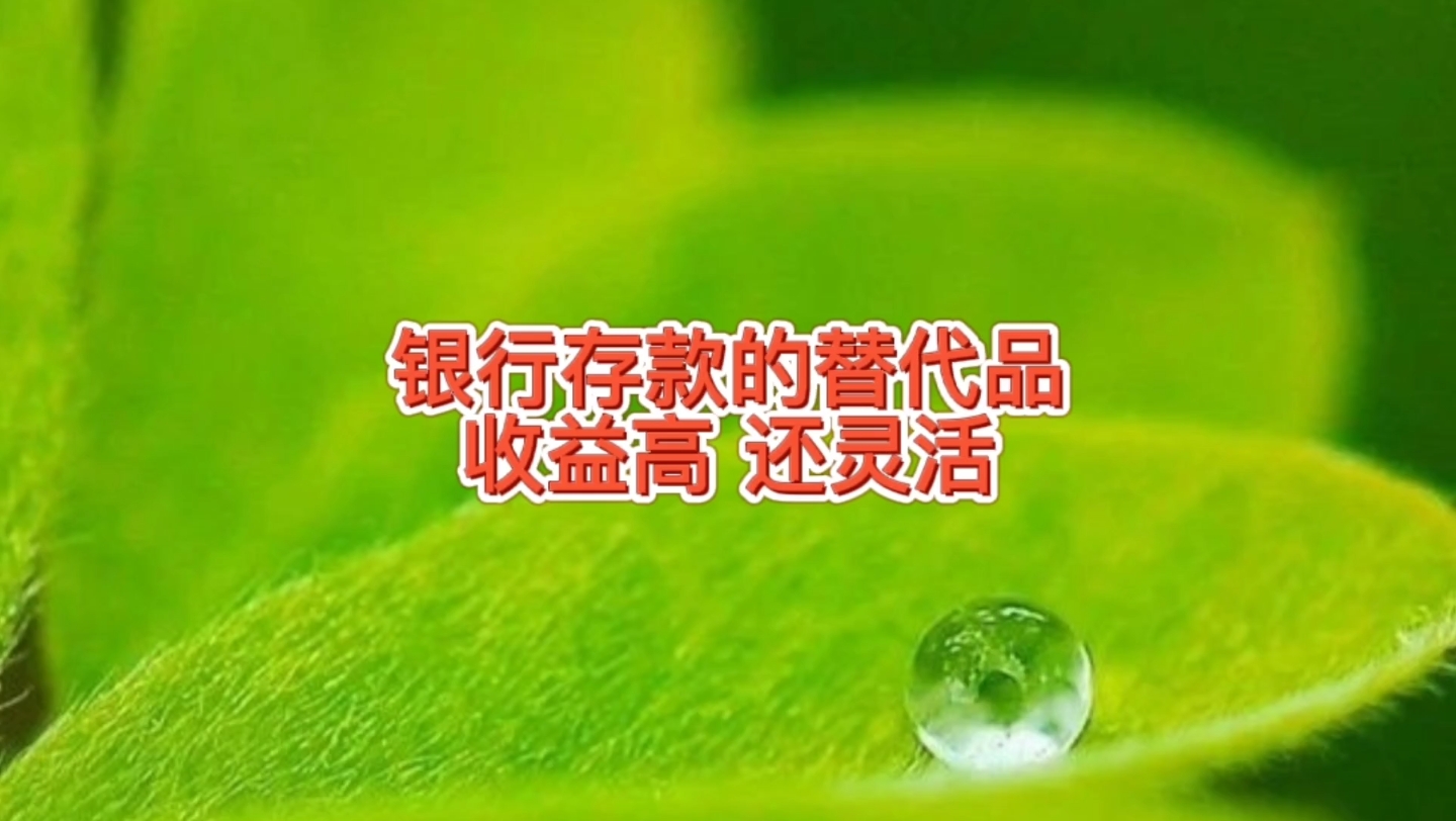 银行存款的替代品,大额存单和余额宝,收益高灵活可取,哪个更好哔哩哔哩bilibili