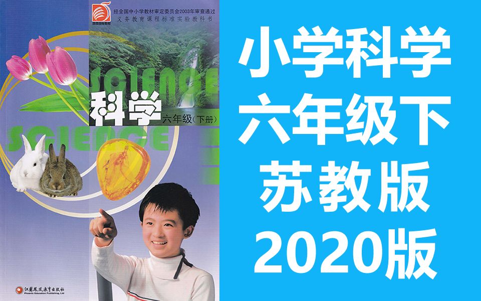 科学六年级科学下册 苏教版 小学科学6年级科学 我们长大了 我在成长 悄悄发生的变化 人生之旅 踏上健康之路 遗传与变异 进化哔哩哔哩bilibili