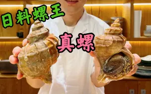 Download Video: 【冬季食材】日料最贵的高级海螺没有之一！厨师长竟然疯狂翻车？海螺哪个部位好吃你造吗？