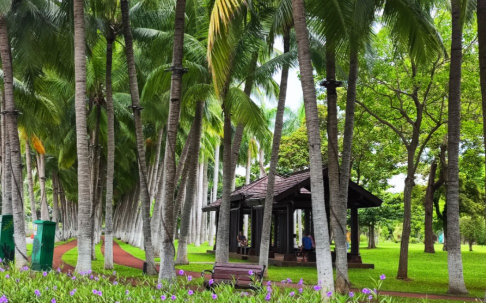 海口万绿园:你喜欢这样的公园吗?