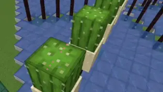我的世界minecraft 4分钟教你制作高效率自动仙人掌农场 保证仙人掌多到拿不完 哔哩哔哩 Bilibili