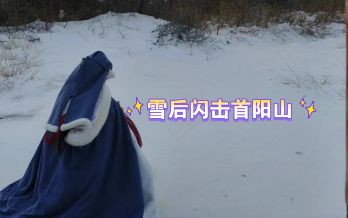 [图]来看雪后汉魏古城 史同女风雪汉魏故城+首阳山！