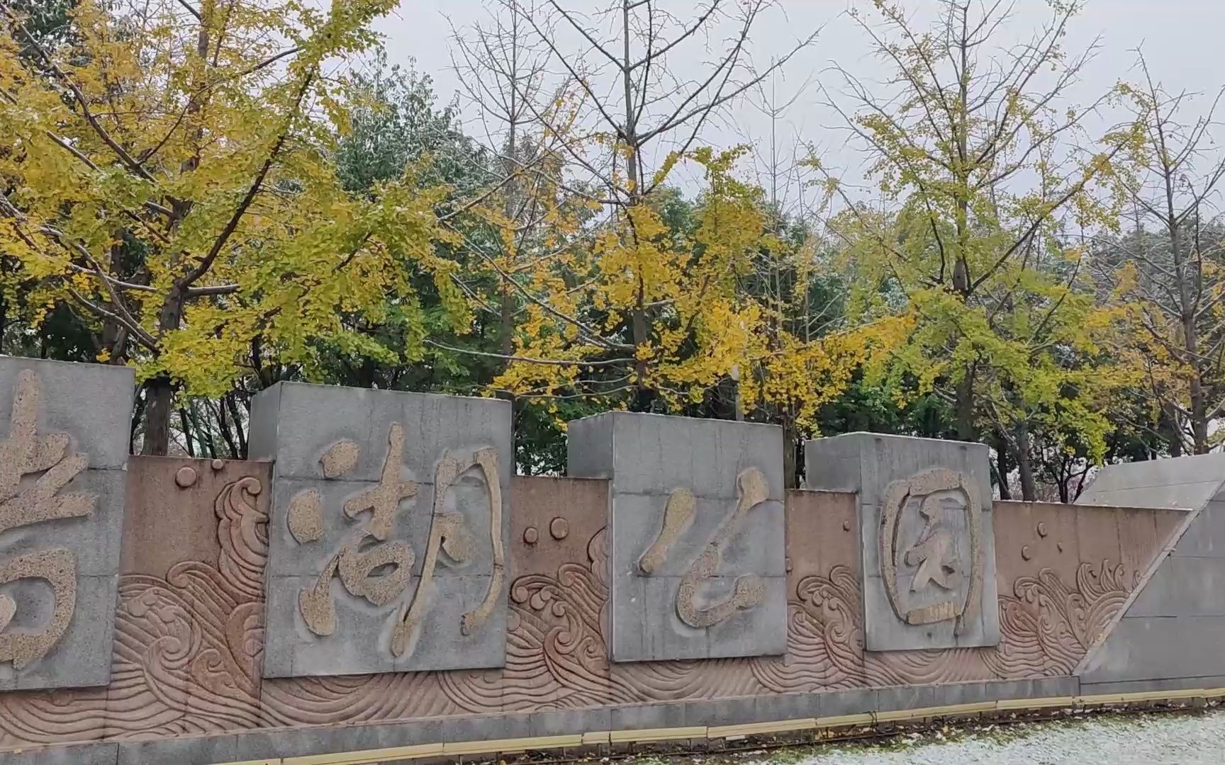 瓜渚湖公园东岸初雪