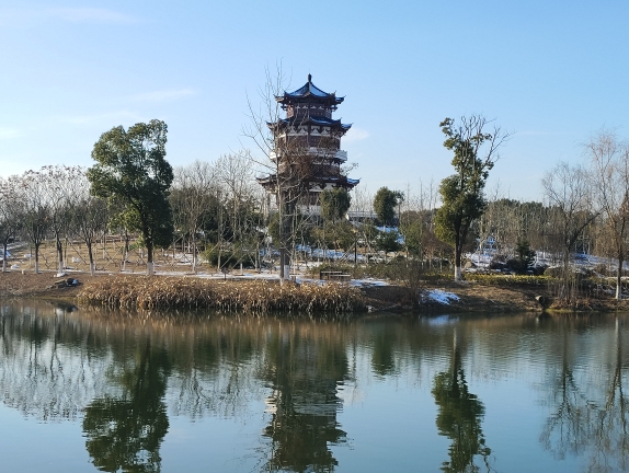 冬游溧阳春晖公园