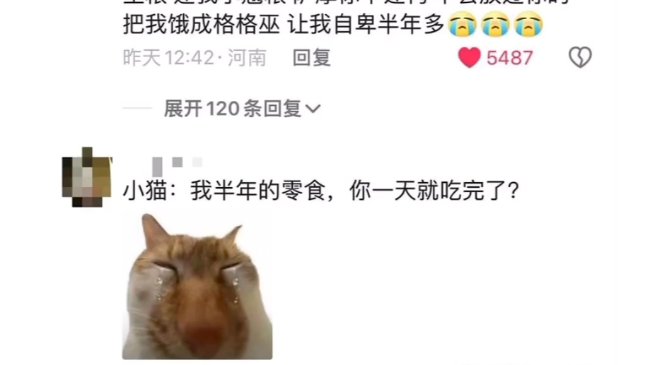 一天炫200根猫条哔哩哔哩bilibili