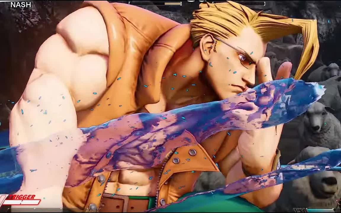 [图]PS4 快打旋風5 全角色超必殺技集STREET FIGHTER V Critical Arts collection