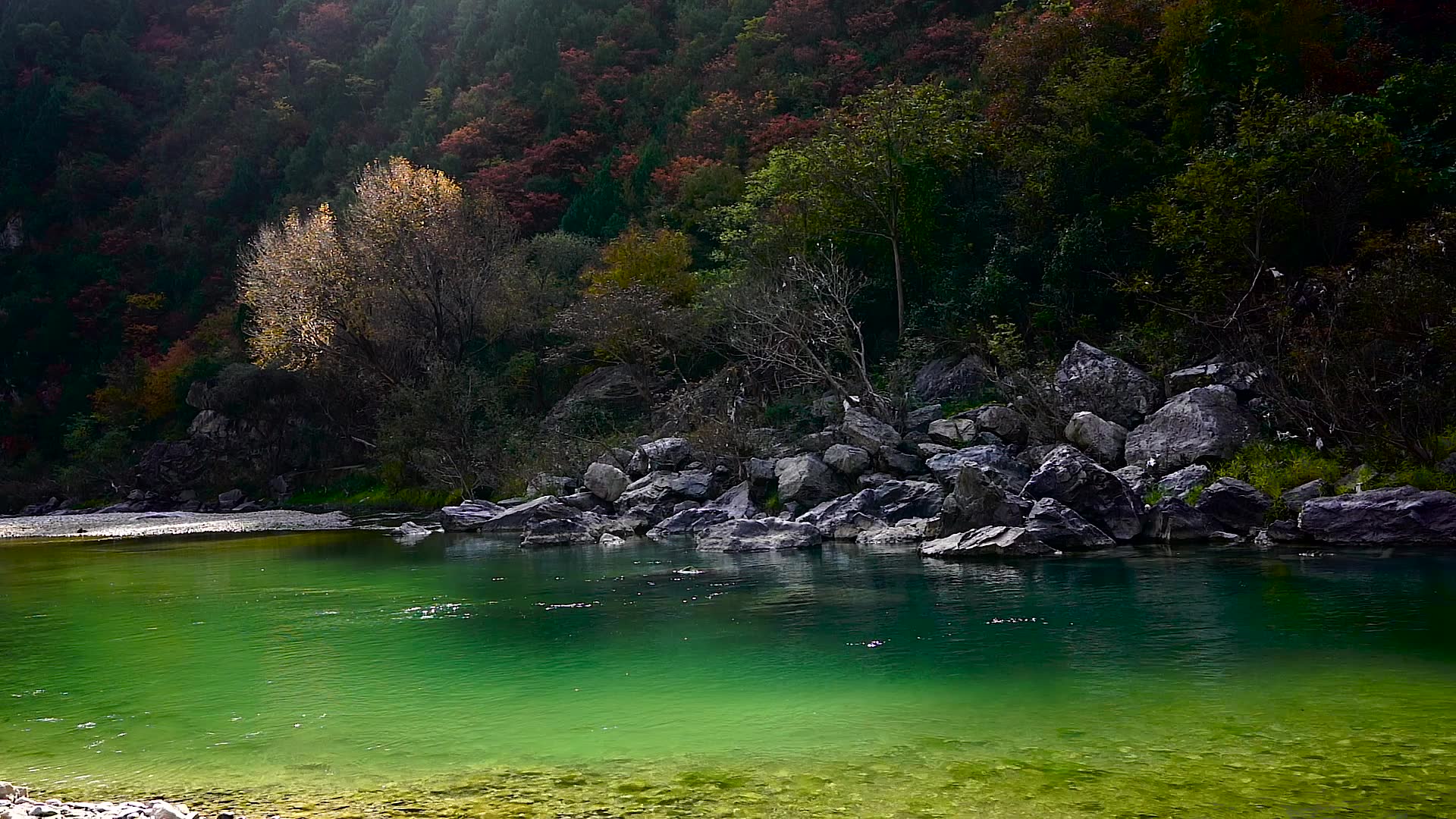 荒野Ⅲ秋景南无虚空藏菩萨摩诃萨风光治愈修心哔哩哔哩bilibili