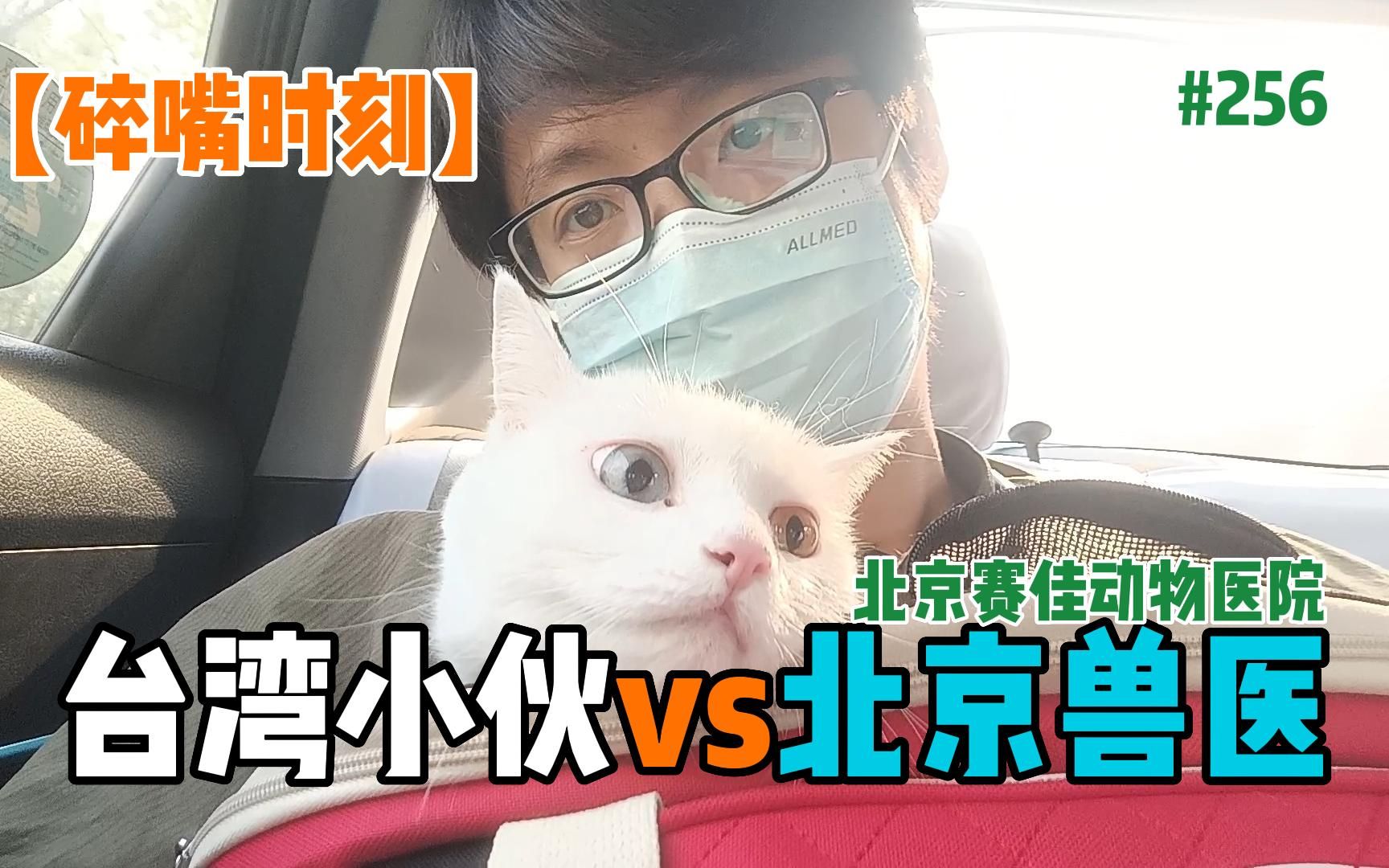 【生活】猫咪挠破眼睛怎么办? 是季节过敏? 病菌感染? 还是情绪问题? 台湾小伙在北京赛佳动物医院猫咪看病 医师说了猫咪的情绪很重要 多抚摸【EP...