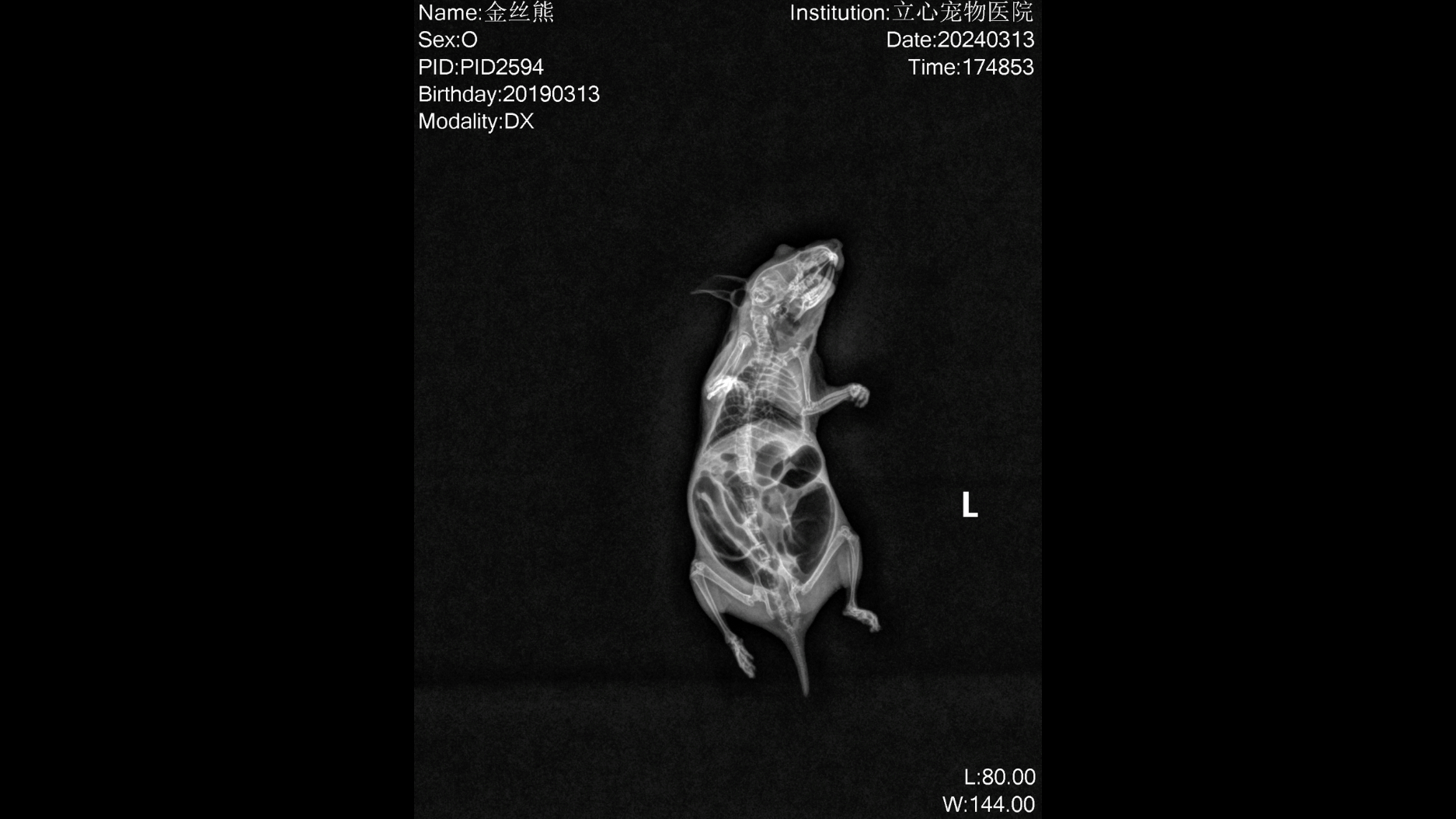 仓鼠91自己养了1个月,最近3-4天没有吃东西,精