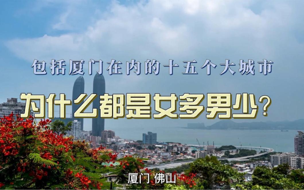 [图]15个大城市，为什么都是女多男少？说好的3000万光棍去了哪里了？