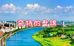 Download Video: 辽宁省最奇特的地级市盘锦，可能是因为年轻敢想敢干奇迹往往是这样来的