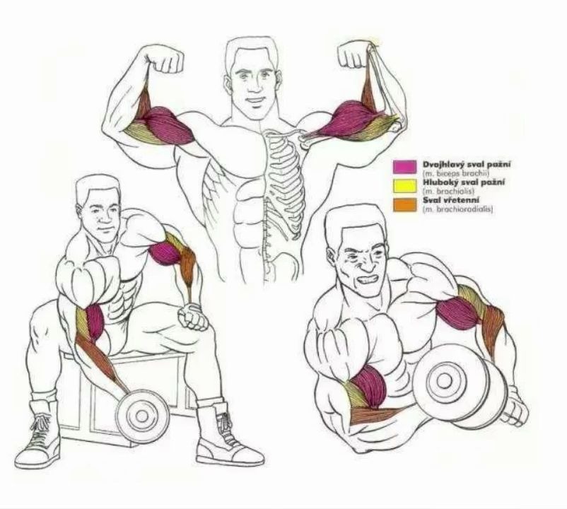 2 (1) (1)_哔哩哔哩_bilibili