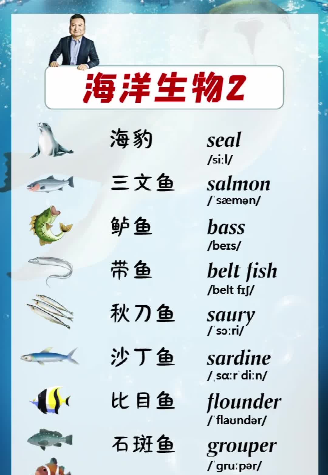 sea animals英文图片