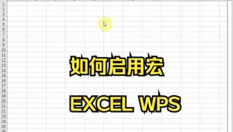 启用宏,EXCEL与WPS启用宏