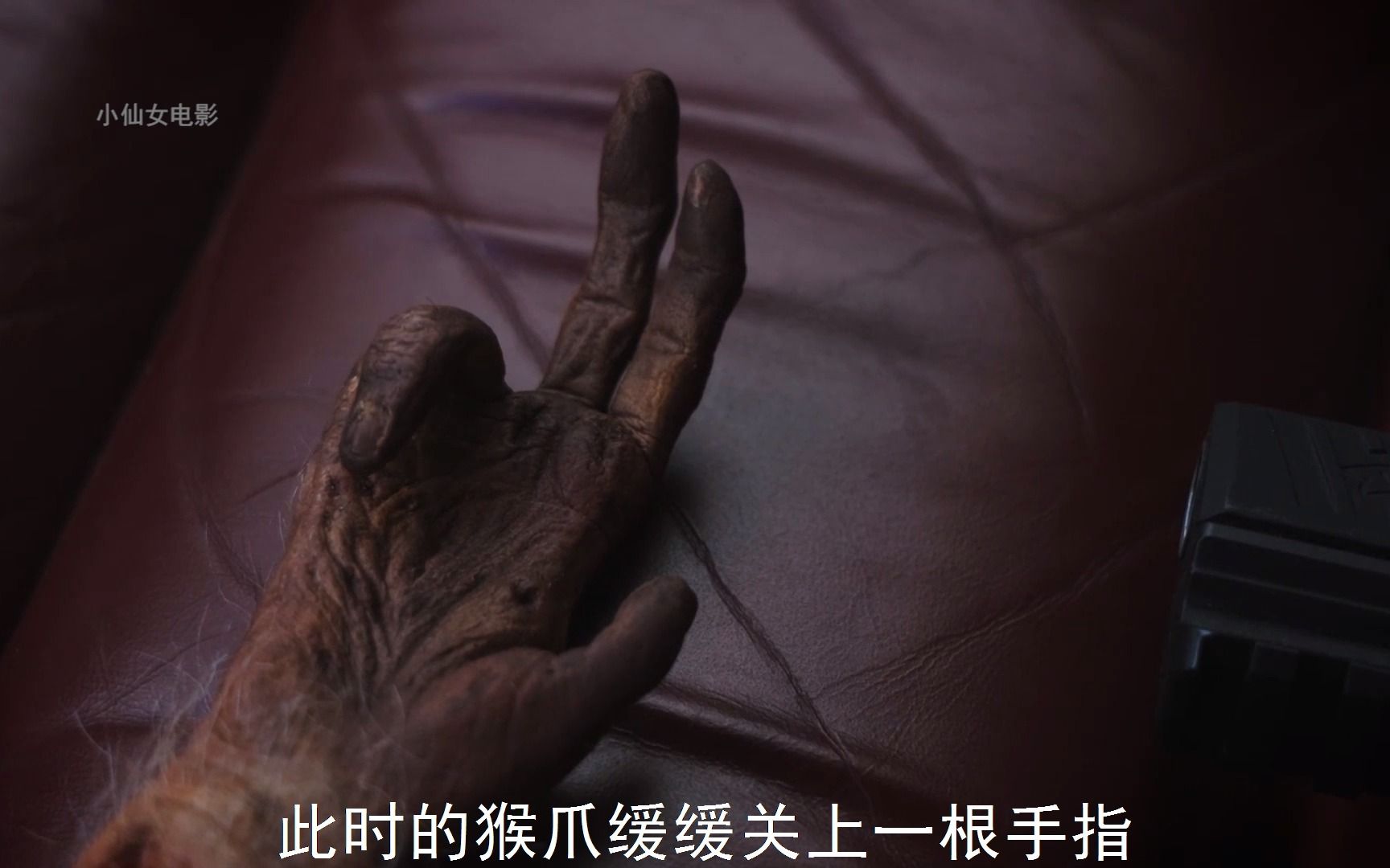 一个可以许愿的神奇猴爪,你会许什么愿望呢