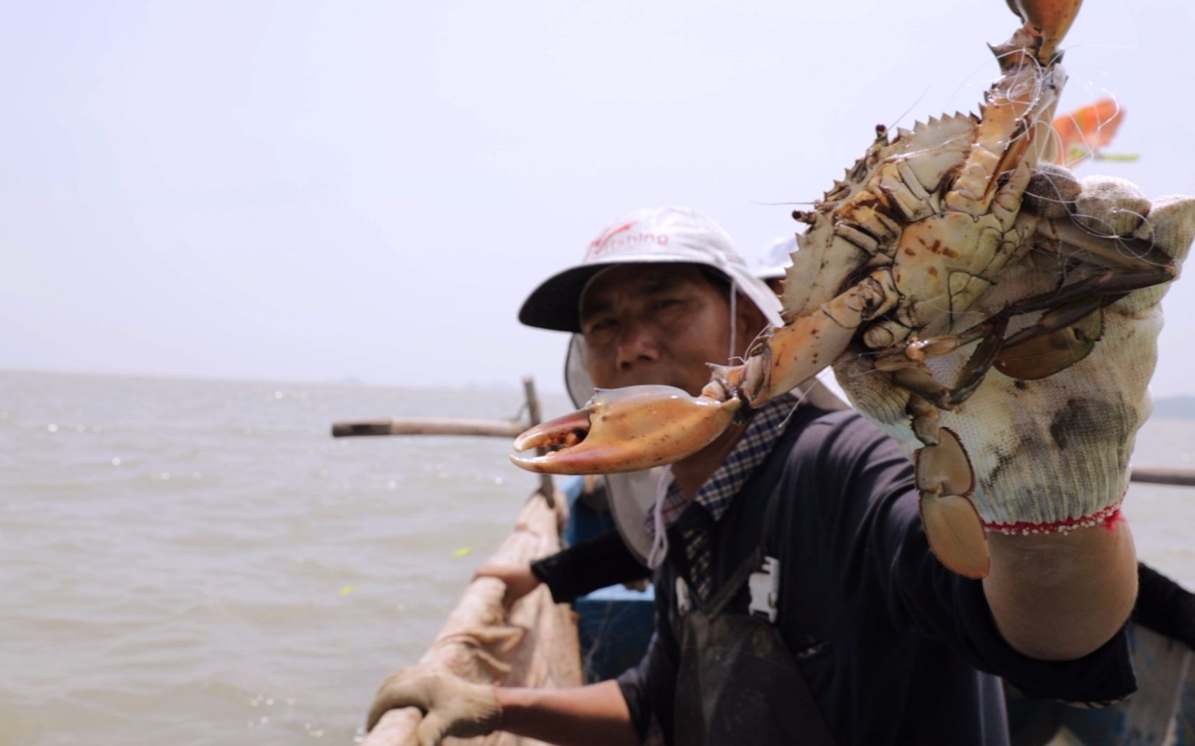 跟着渔民出海打鱼,捞到了各种螃蟹和虾,快来看看还有什么收获?