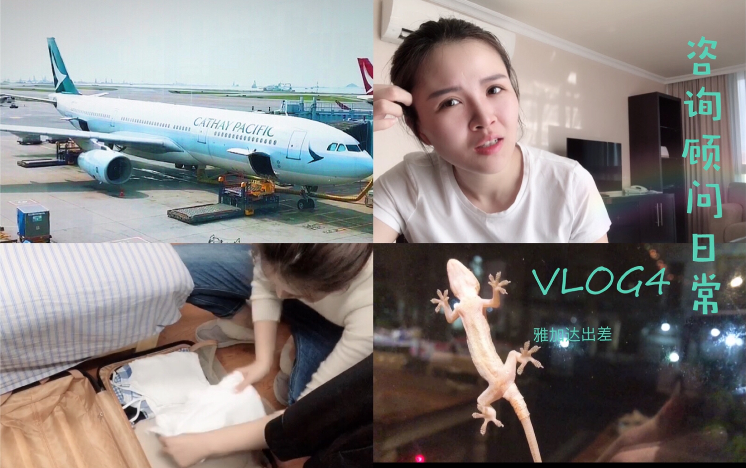 【咨询顾问日常】VLog4 之 雅加达出差哔哩哔哩bilibili