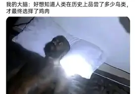 Télécharger la video: 好想知道人类在历史上品尝了多少鸟类，才最终选择了鸡肉...