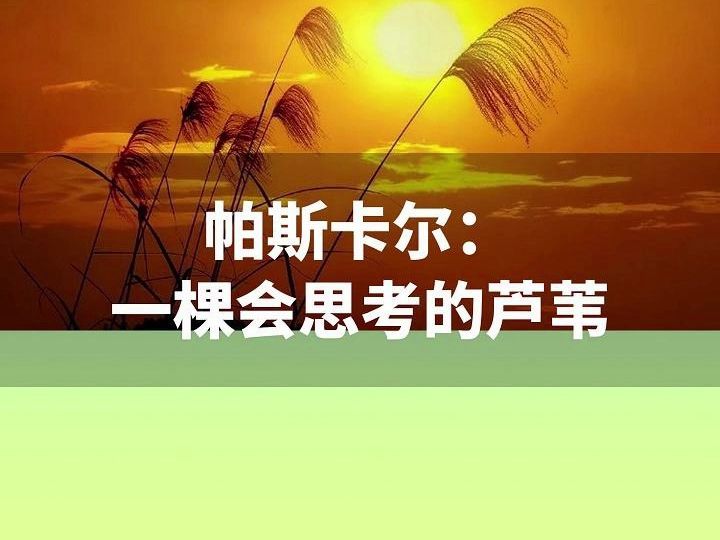 认识哲学家:帕斯卡,一棵会思考的芦苇哔哩哔哩bilibili