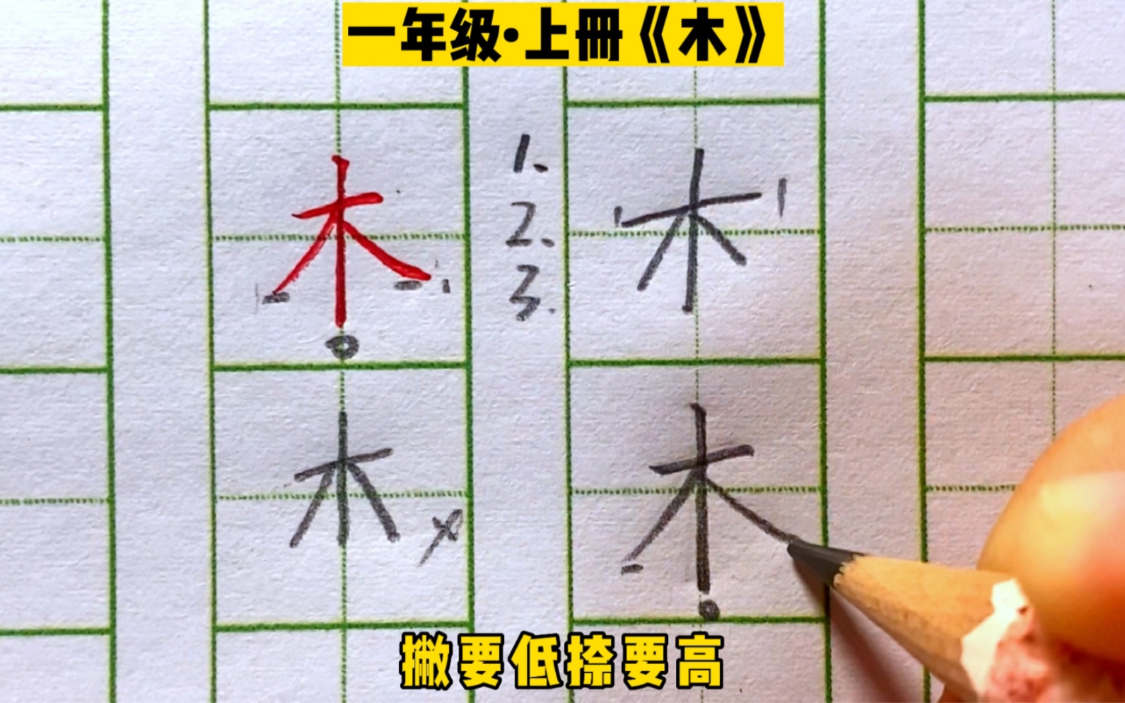 第2集|一年级上册“木”字书写示范哔哩哔哩bilibili