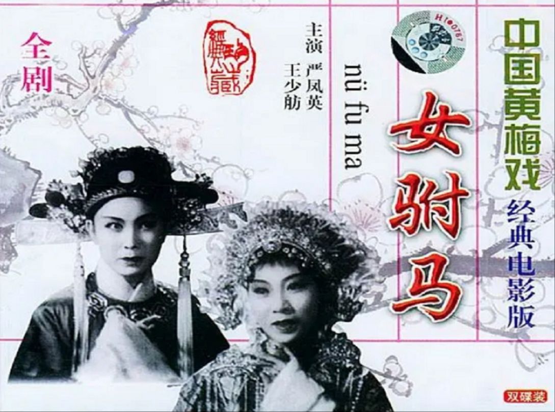 女驸马(1959)严凤英 / 王少舫 / 潘璟琍 / 张云风 / 熊少云哔哩哔哩bilibili