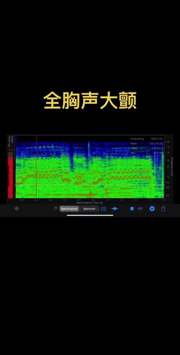 全胸声大颤哔哩哔哩bilibili