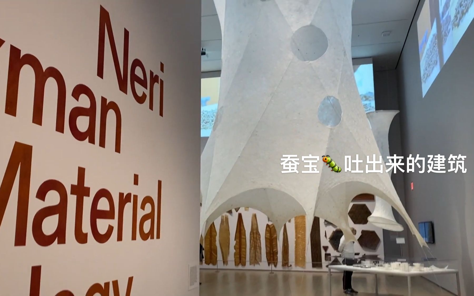 纽约moma|neri oxman蚕宝宝吐出来的建筑91_哔哩哔哩_bilibili