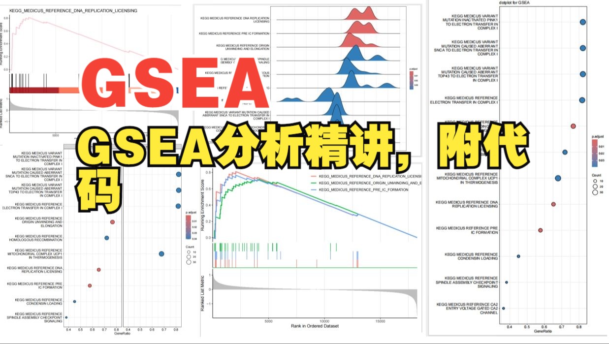 15(附代码)GSEA功能富集分析精讲,带你零基础一键完成GSEA功能富集分析哔哩哔哩bilibili