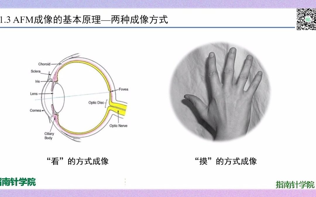 AFM成像基本原理哔哩哔哩bilibili