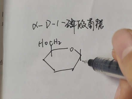 自用|糖的结构式书写哔哩哔哩bilibili