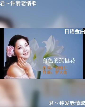 [图]女神邓丽君经典日语金曲《白色的孤挺花》国语版《爱的箴言》鉴赏