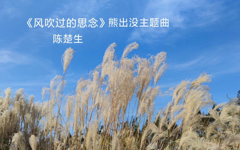 [图]陈楚生 | 风吹过的思念·熊出没之逆转时空主题曲片段