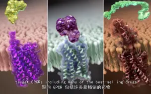 Video herunterladen: GPCR#生物医学动画#科学原理动画#科普视频：G 蛋白偶联受体