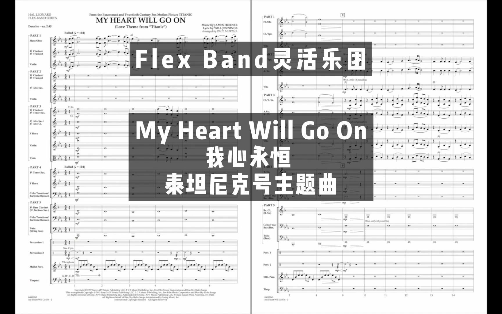 [图]【2级】My Heart Will Go On 我心永恒 泰坦尼克号主题曲 By Paul Murt