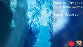 Download Video: Houdini Redshift 水下场景制作分解（中英文字幕）